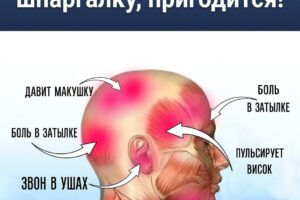 Почему болит именно эта часть головы? Что может рассказать о здоровье место возникновения боли