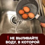 Большинство людей совершает эту ошибку: почему нельзя выливать воду после варки яиц