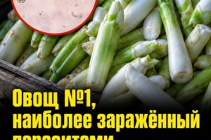 Эти овощи многие едят каждый день, не подозревая о скрытой опасности