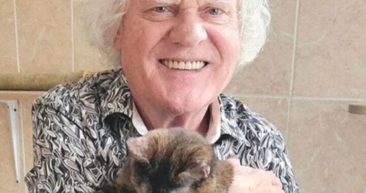 Юрий Куклачёв: человек, который изменил отношение к кошкам и создал театр, не имеющий аналогов в мире