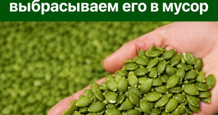 Всего 30 граммов в день: что произойдёт с организмом, если регулярно есть тыквенные семечки