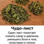 Врач рассказал о напитке из листьев, который многие считают помощником для сердца, сосудов и уровня сахара