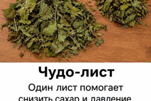 Врач рассказал о напитке из листьев, который многие считают помощником для сердца, сосудов и уровня сахара