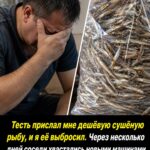 «Я считал родителей жены бедными и бесполезными… Пока один телефонный звонок не разрушил мою жизнь»