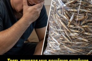 «Я считал родителей жены бедными и бесполезными… Пока один телефонный звонок не разрушил мою жизнь»