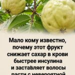 Сладкий тропический фрукт, который может помочь контролировать сахар в крови: почему стоит обратить внимание на него