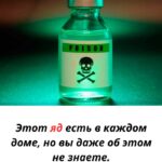 «Вы точно найдёте это у себя дома: 7 предметов, о которых стоит знать каждому»