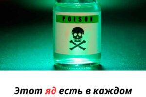 «Вы точно найдёте это у себя дома: 7 предметов, о которых стоит знать каждому»