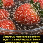 В клубнике нашли белых червячков! Что происходит с ягодами после замачивания в соленой воде и можно ли их есть?