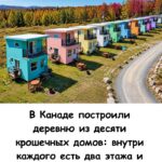 В Канаде построили 10 крошечных домов по 37 м² — вы не поверите, сколько всего поместилось внутри!